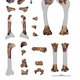 Fossil bones of Tsidiiyazhi abini. (Image: D T. Ksepka et al., 2017)